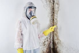 Best Mold Remediation for Rental Properties  in USA